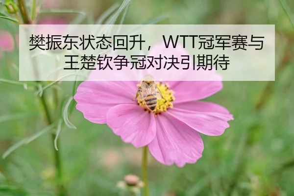 fan-zhen-dong-zhuang-tai-hui-sheng-guan-jun-sai-yu-wang-chu-qin-zheng-guan-dui-jue-yin-qi-dai-2-179.jpg