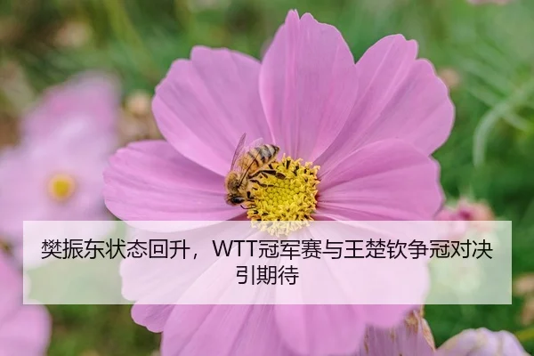 fan-zhen-dong-zhuang-tai-hui-sheng-guan-jun-sai-yu-wang-chu-qin-zheng-guan-dui-jue-yin-qi-dai-3-587.jpg
