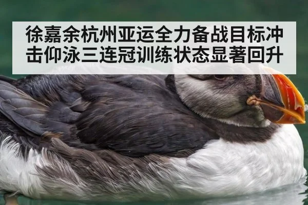 徐嘉余杭州亚运全力备战目标冲击仰泳三连冠训练状态显著回升